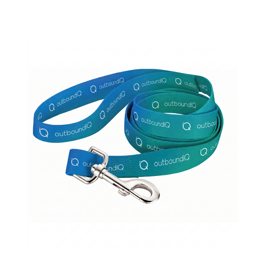 outboundIQ Pet Leash