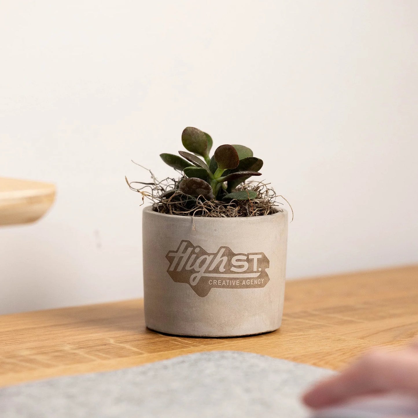Mini Parker Desk Plant (Master Catalog)